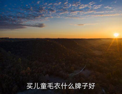 太平鳥(niǎo)股票代碼是什么,股票代碼300開(kāi)頭的是什么股