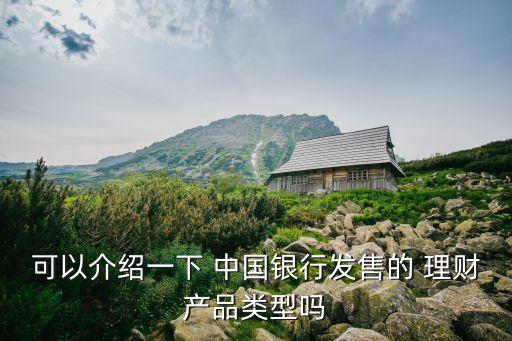 可以介紹一下 中國銀行發(fā)售的 理財產品類型嗎