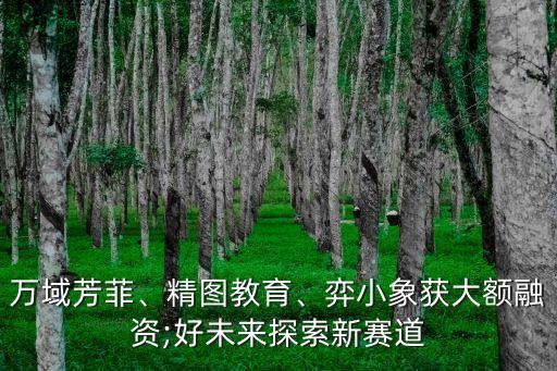 萬(wàn)域芳菲、精圖教育、弈小象獲大額融資;好未來(lái)探索新賽道