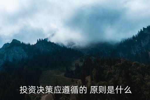  投資決策應遵循的 原則是什么