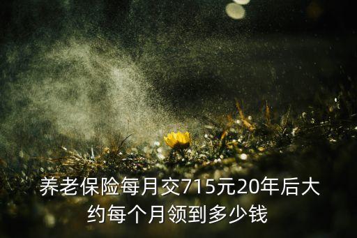  養(yǎng)老保險(xiǎn)每月交715元20年后大約每個(gè)月領(lǐng)到多少錢