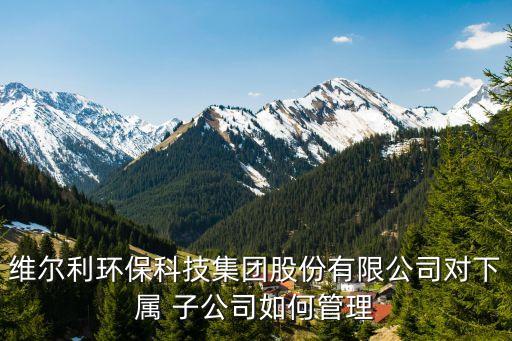 維爾利環(huán)?？萍技瘓F(tuán)股份有限公司對下屬 子公司如何管理