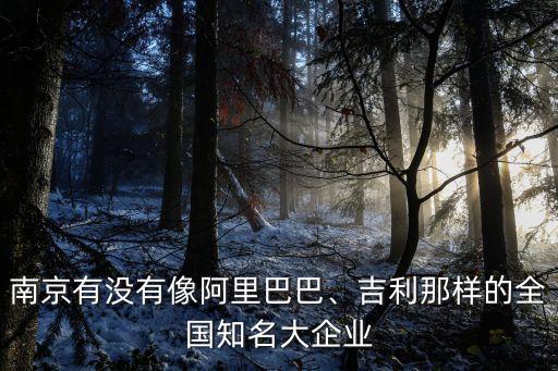 南京有沒有像阿里巴巴、吉利那樣的全國知名大企業(yè)