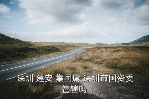  深圳 建安 集團(tuán)屬 深圳市國資委管轄嗎