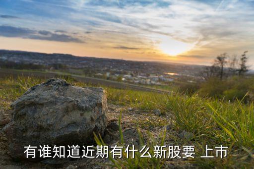 有誰(shuí)知道近期有什么新股要 上市