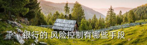  銀行的 風險控制有哪些手段