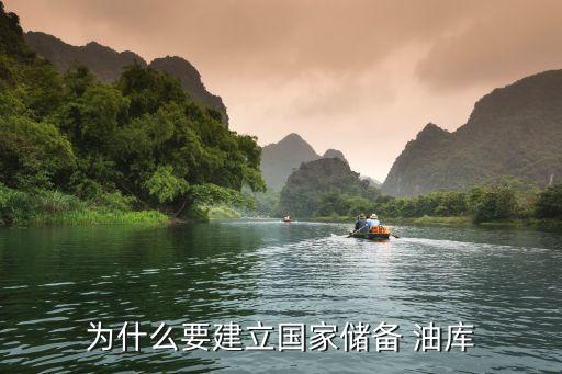 為什么要建立國家儲(chǔ)備 油庫