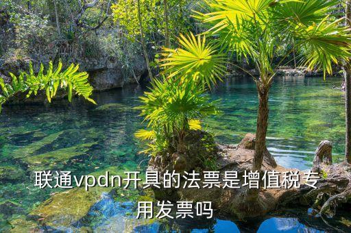  聯(lián)通vpdn開(kāi)具的法票是增值稅專用發(fā)票嗎