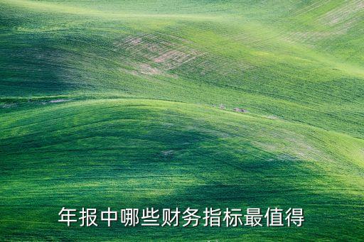 年報中哪些財務指標最值得