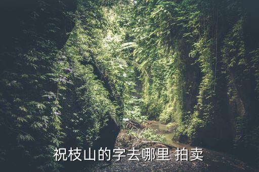 季濤天問(wèn)國(guó)際拍賣有限公司