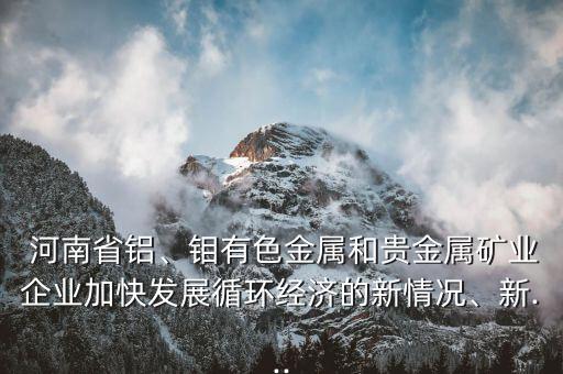  河南省鋁、鉬有色金屬和貴金屬礦業(yè)企業(yè)加快發(fā)展循環(huán)經(jīng)濟的新情況、新...