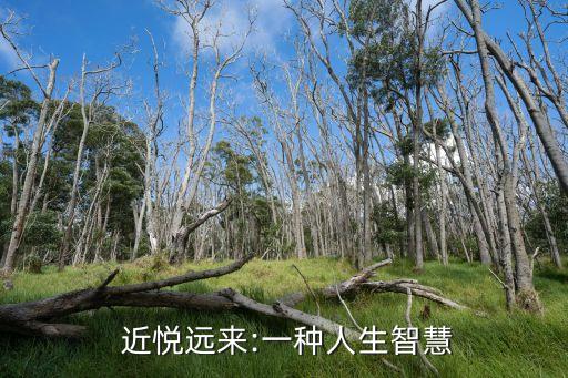  近悅遠(yuǎn)來(lái):一種人生智慧