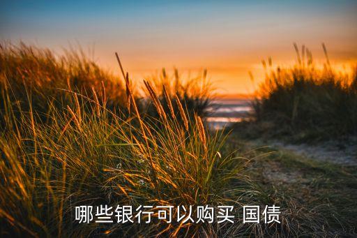 哪些銀行可以購(gòu)買 國(guó)債