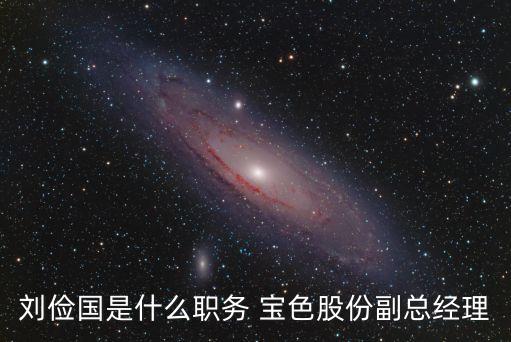 劉儉國是什么職務 寶色股份副總經(jīng)理