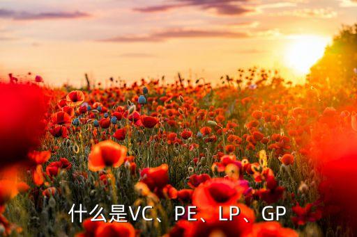 什么是VC、PE、LP、GP