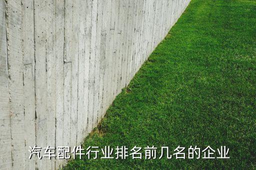  汽車(chē)配件行業(yè)排名前幾名的企業(yè)
