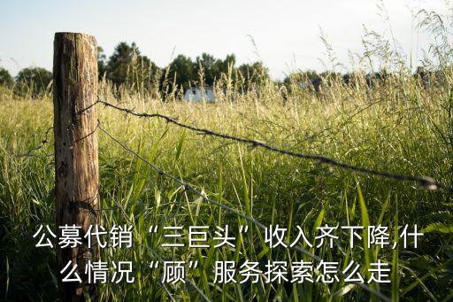 公募代銷“三巨頭”收入齊下降,什么情況“顧”服務探索怎么走