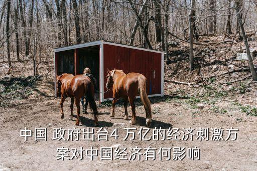 中國 政府出臺(tái)4 萬億的經(jīng)濟(jì)刺激方案對中國經(jīng)濟(jì)有何影響