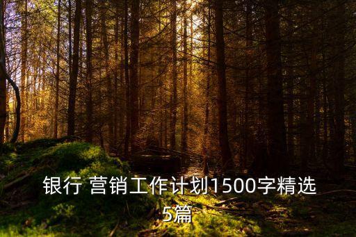 銀行 營銷工作計(jì)劃1500字精選5篇