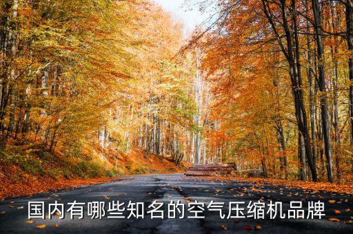 國內(nèi)有哪些知名的空氣壓縮機(jī)品牌