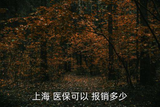 上海 醫(yī)?？梢?報(bào)銷多少