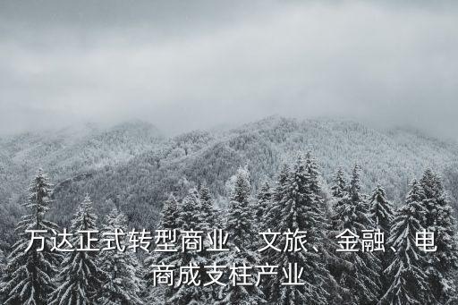 萬達正式轉型商業(yè)、文旅、金融、電商成支柱產業(yè)