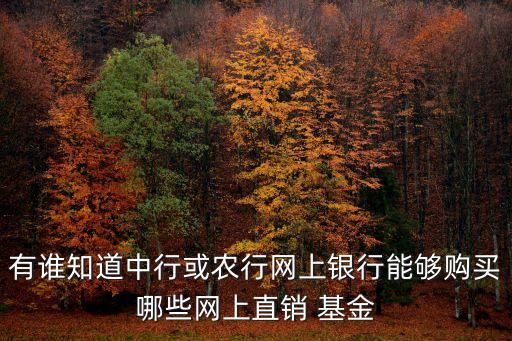 有誰(shuí)知道中行或農(nóng)行網(wǎng)上銀行能夠購(gòu)買哪些網(wǎng)上直銷 基金