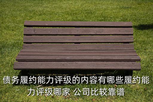 債務履約能力評級的內容有哪些履約能力評級哪家 公司比較靠譜