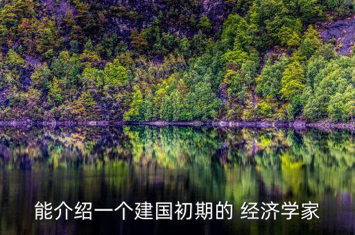 中國經濟學家h是指誰