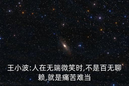 王小波:人在無(wú)端微笑時(shí),不是百無(wú)聊賴,就是痛苦難當(dāng)
