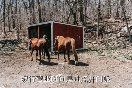 銀行營(yíng)業(yè)時(shí)間是幾點(diǎn)開(kāi)門呢
