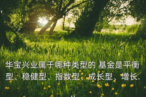 華寶興業(yè)屬于哪種類型的 基金是平衡型、穩(wěn)健型、指數(shù)型、成長型、增長...