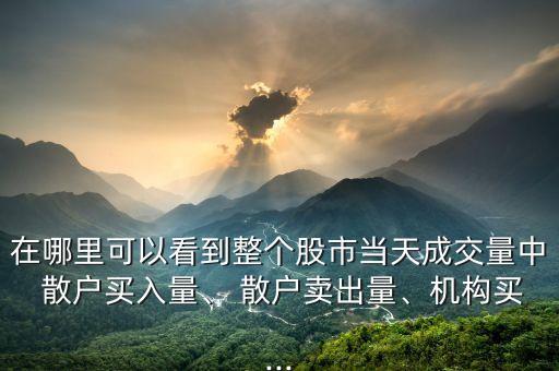 在哪里可以看到整個股市當天成交量中 散戶買入量、 散戶賣出量、機構(gòu)買...