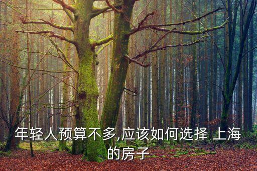 小白領(lǐng)白領(lǐng)在上?？赡苜I房嗎