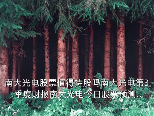 南大光電股票值得持股嗎南大光電第3 季度財(cái)報(bào)南大光電今日股票預(yù)測(cè)...