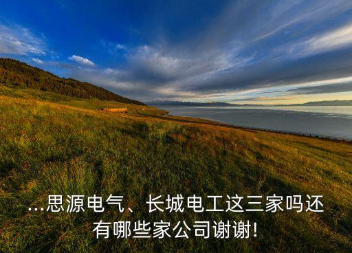 ...思源電氣、長城電工這三家嗎還有哪些家公司謝謝!