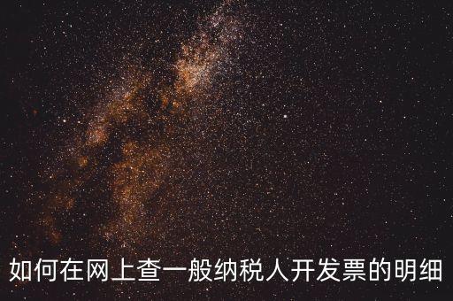 如何在網上查一般納稅人開發(fā)票的明細