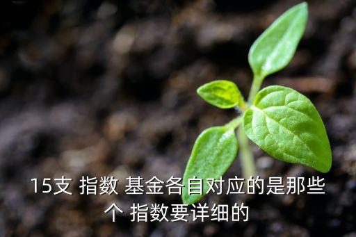 大成滬深300指數基金公司介紹,滬深300指數基金排名前十名