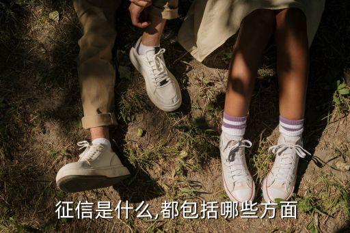 中國(guó)個(gè)人征信體系,我國(guó)的個(gè)人征信體系建設(shè)始于