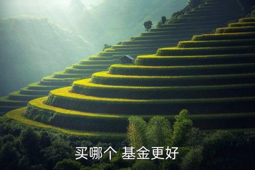 買哪個 基金更好