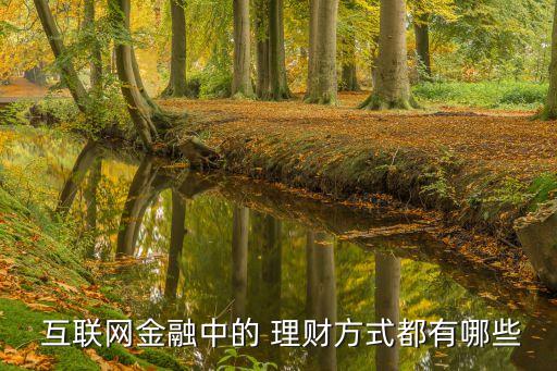  互聯(lián)網金融中的 理財方式都有哪些