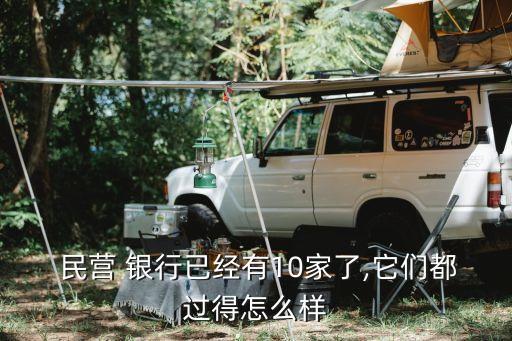 民營銀行特色發(fā)展,我國民營銀行的發(fā)展現狀