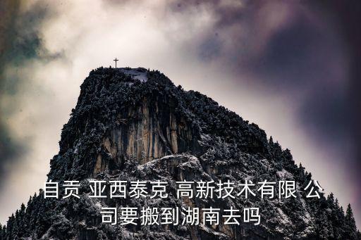 自貢亞西泰克高新技術有限責任公司