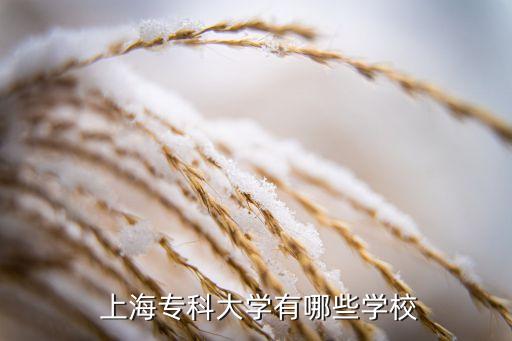  上海專科大學有哪些學校