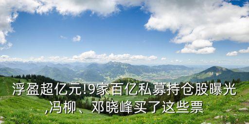 浮盈超億元!9家百億私募持倉(cāng)股曝光,馮柳、鄧曉峰買了這些票