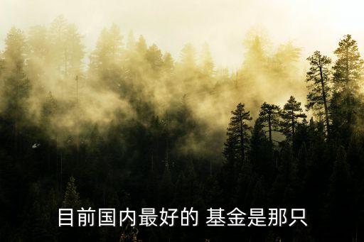 目前國內最好的 基金是那只