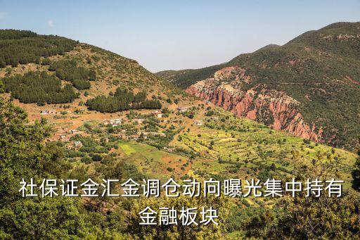全國(guó)社?；?01組合,社?；?01組合最新持股