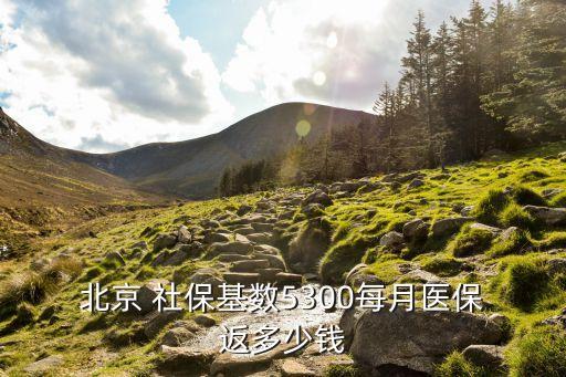  北京 社?；鶖?shù)5300每月醫(yī)保 返多少錢