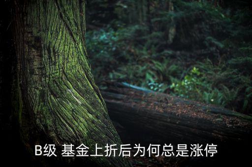 b級(jí)基金溢價(jià),場(chǎng)內(nèi)基金溢價(jià)是否要賣(mài)出