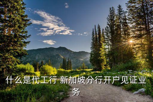 什么是代工行 新加坡分行開(kāi)戶(hù)見(jiàn)證業(yè)務(wù)